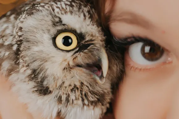 Casino AllStar Slots Support